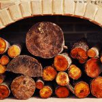 31-gratarul-dragomir