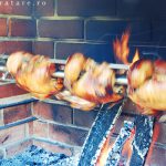 8 rotisor din caramida